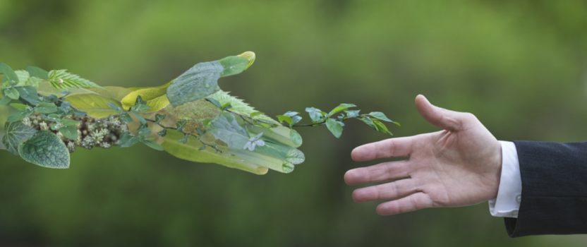 Comprometidos con el Medio Ambiente